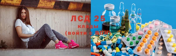 apvp Вязьма