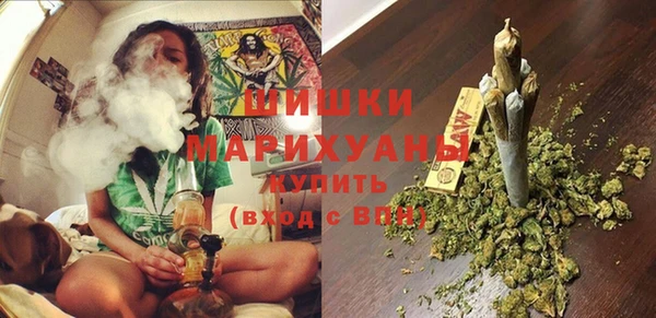 мдпв Горнозаводск