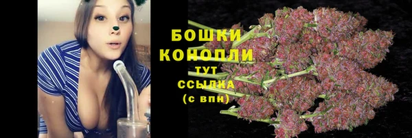 мдпв Горнозаводск